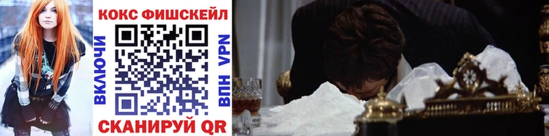 Cocaine Fish Scale  купить наркотики цена  Аргун 