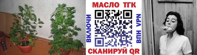 ТГК THC oil Аргун