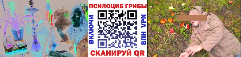 Галлюциногенные грибы Cubensis  купить наркотик  KRAKEN вход  Аргун 