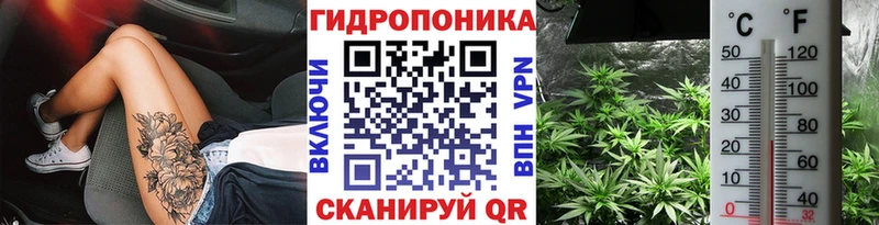 MEGA зеркало  Аргун  Каннабис гибрид  купить наркотики сайты 